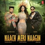 Naach Meri Naagin