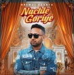 Nachle Goriye