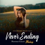Never Ending Mashup 2025