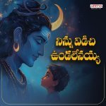 Ninnu Vidichi Undalenayya