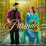 Parindey From Jatt Nuu Chudail Takri
