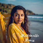 Premalo X Chuttamalle Mashup