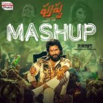 Pushpa   Mashup
