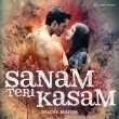 Sanam Teri Kasam