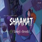 Shaamat Lofi Slowed Reverb Ankit Tiwari