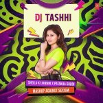 Sheila Ki Jawani X Patakha Guddi Mashup Against SexismRemix By Dj Tashhi