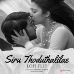 Siru Thoduthalilae Lofi Flip