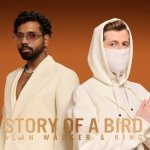 Story Of A Bird
