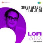 Surer Akashe Tumi Je Go   Lofi Mix