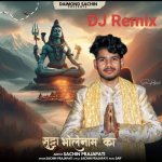 Sutta bholenaam kaa  DJ Remix