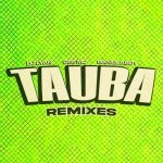 Tauba VIZANO Remix