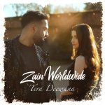 Tera Deewana