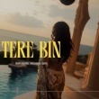 Tere Bin