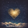 Tere Bina Adhuri