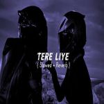 Tere Liye By Atif Aslam