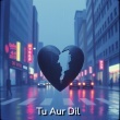 Tu Aur Dil
