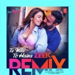 Tu Mila To Haina Zeek RemixRemix By Zeek