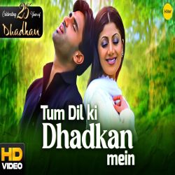 Tum Dil Ki Dhadkan Mein Hd