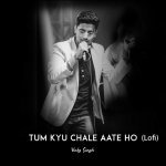Tum Kyu Chale Ate Ho (Lofi)
