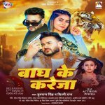 Bagh Ke Kareja Poster