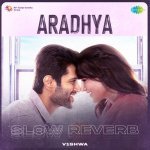 Aradhya Slow Reverb Poster