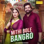 Mithi Bole Bangro Poster