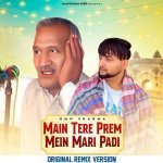 Main Tere Prem Mein Mari Padi Poster