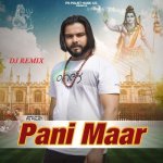 Pani Maar Dj Remix Poster