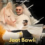Jaat Bawli Poster