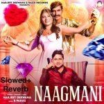 Naagmani SlowedReverb Poster