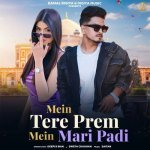 Mein Tere Prem Mein Mari Padi Poster