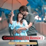 Green Flag  Dj Remix Poster
