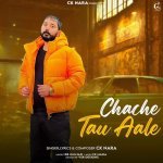 Chache Tau Aale Poster