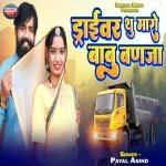 Driver Tu Maro Babu Banja Poster