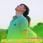 Aslam Singer Sr9050 Poster