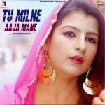 Tu Milne Aaja Mane Poster