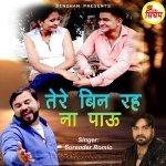 Tere Bin Reh Na Paau Poster