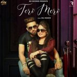 Teri Meri Poster