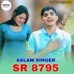 Aslam Singer SR 8795 Poster