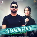 Chandigarh Jawan Aali Re Poster