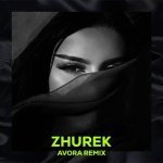 Zhurek Remix Poster