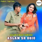 Aslam SR 8610 Poster