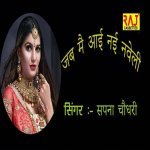 Jab Mai Aayi Nai Naveli Poster