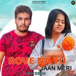 Rove Na Tu Jaan Meri Poster