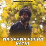 Na Saana Pucha Kathi Poster