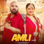 Amli Poster