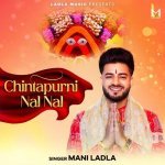 Chintapurni Nal Nal Poster