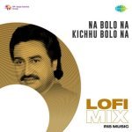 Na Bolo Na Kichhu Bolo Na Lofi Mix Poster