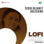 Sedin Dujaney Dulechinu Lofi Mix Poster