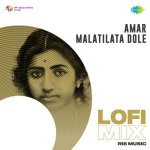 Amar Malatilata Dole Lofi Mix Poster